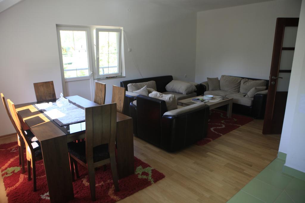 Apartment Mitric Pluzine Exterior photo